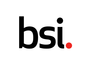 British Standards Institution logo